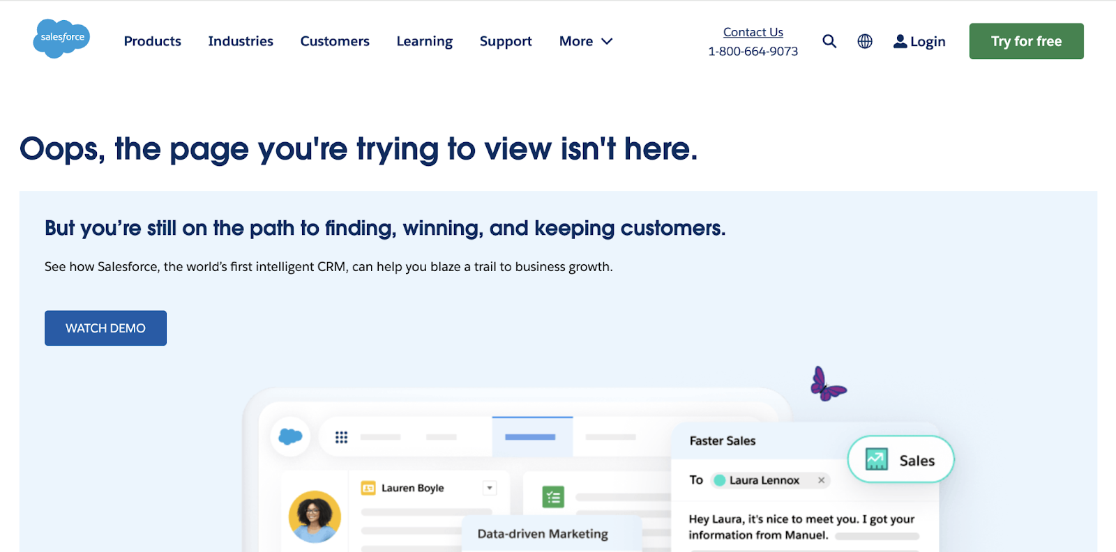 Broken link opens Salesforce page that says "Oops, the page you're trying to view isn't here." And includes product shots.