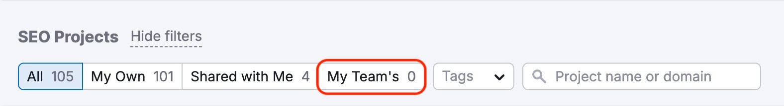 The SEO Projects table with the My Team's tab highlighted. 